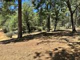 1860 Summit View Drive - Photo 10