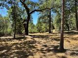 1860 Summit View Drive - Photo 11