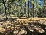 1860 Summit View Drive - Photo 3