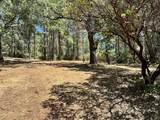 1860 Summit View Drive - Photo 4