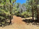 1860 Summit View Drive - Photo 6