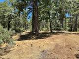 1860 Summit View Drive - Photo 8