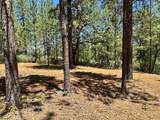 1810 Summit View Drive - Photo 13