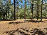 1810 Summit View Drive - Photo 17