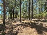 1810 Summit View Drive - Photo 21