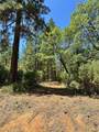 1810 Summit View Drive - Photo 24