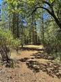 1810 Summit View Drive - Photo 25