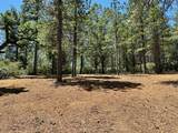 1810 Summit View Drive - Photo 5