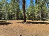 1810 Summit View Drive - Photo 6