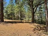 1810 Summit View Drive - Photo 7