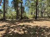 1810 Summit View Drive - Photo 9