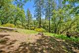 13434 Red Tail Hawk Road - Photo 40