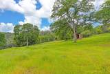 4822 Salmon Falls Road - Photo 47