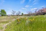 0 Lodoga Stonyford Road - Photo 19
