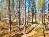 12787 Mystic Mine Road - Photo 10