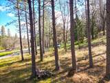 12787 Mystic Mine Road - Photo 24