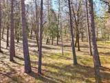 12787 Mystic Mine Road - Photo 29