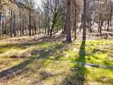 12787 Mystic Mine Road - Photo 40