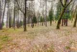 12787 Mystic Mine Road - Photo 49