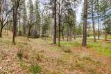12787 Mystic Mine Road - Photo 52