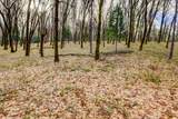 12787 Mystic Mine Road - Photo 60
