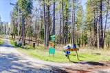 12787 Mystic Mine Road - Photo 75