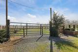 10031 Frankenheimer Road - Photo 93