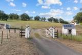 14883 Vaira Ranch Road - Photo 45