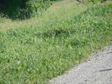 0 Timm Road - Photo 18