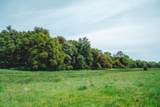 14481 Oak Ridge Road - Photo 20