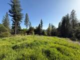 19810 Grizzly Creek Road - Photo 2