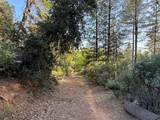 19810 Grizzly Creek Road - Photo 6