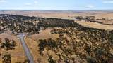 0 Hammonton Bluff Parcel 8 - Photo 24