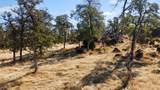 0 Hammonton Bluff Parcel 8 - Photo 28