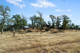 0 Hammonton Bluff Parcel 8 - Photo 39