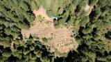 3772 Tin Ranch Road - Photo 11