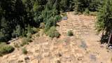 3772 Tin Ranch Road - Photo 4