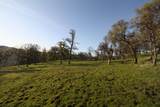 0 Dutch Flat Trail - Photo 10