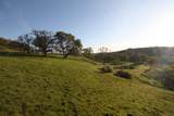 0 Dutch Flat Trail - Photo 6