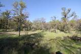 6 Dutch Flat Trail - Photo 11