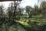 6 Dutch Flat Trail - Photo 13
