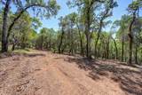 10650 Werner Road - Photo 11