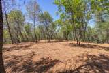 10650 Werner Road - Photo 14