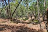 10650 Werner Road - Photo 17
