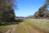 10650 Werner Road - Photo 19