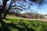 10650 Werner Road - Photo 39