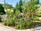 315 Pleasant Street - Photo 52