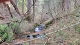 6281 Bear Creek Road - Photo 12