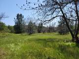 6281 Bear Creek Road - Photo 49