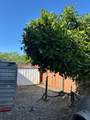 312 Hunter Avenue - Photo 15